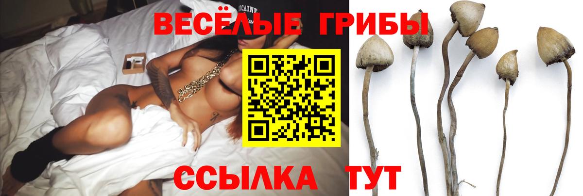 Галлюциногенные грибы мухоморы  Псилоцибиновые грибы мухоморы  Вход с VPN  Магнитогорск 